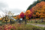 Tadoussac